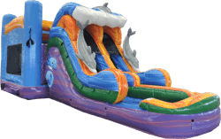 thumbnail 11 1753153269 13' Dolphin Marble Combo Dual Lane